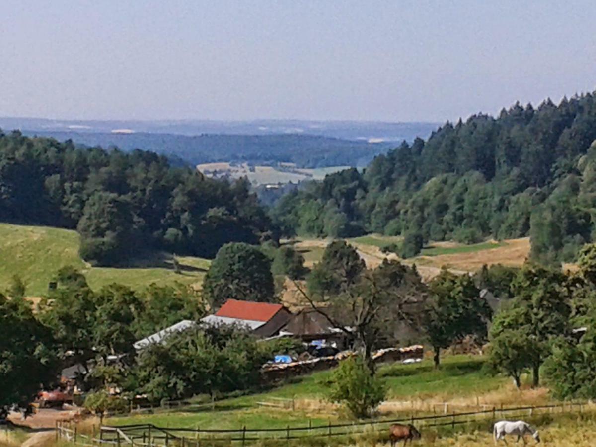 Fewo Darsberg Neckarsteinach Buitenkant foto