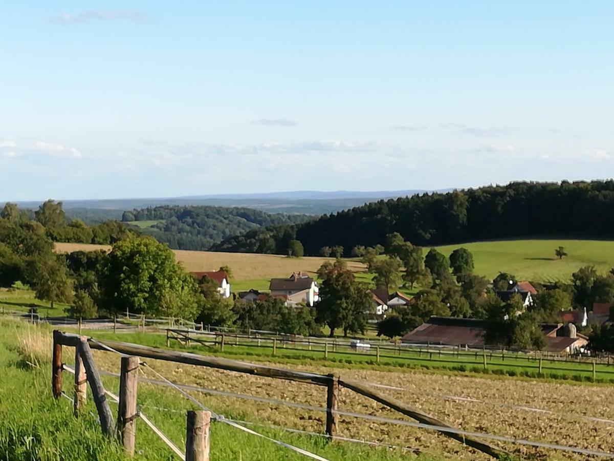 Fewo Darsberg Neckarsteinach Buitenkant foto
