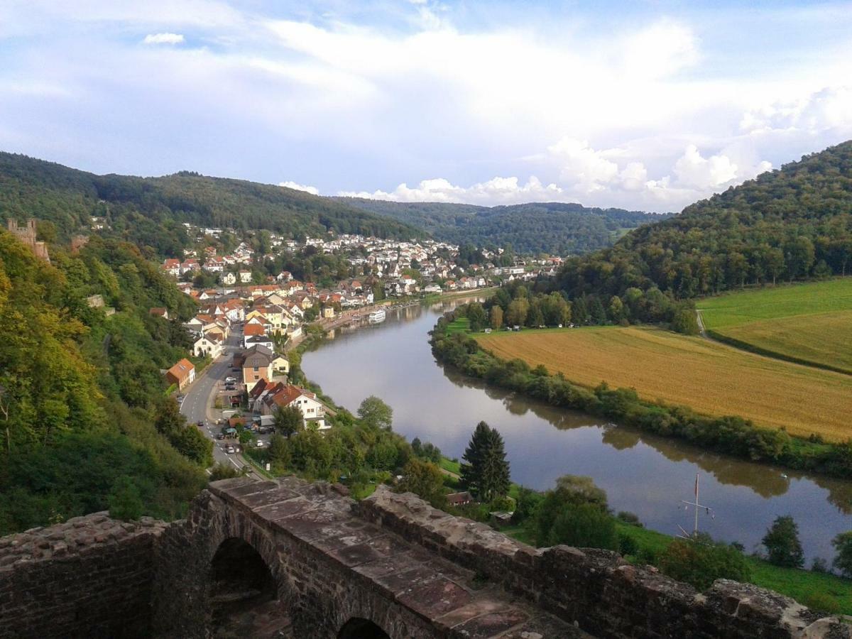 Fewo Darsberg Neckarsteinach Buitenkant foto